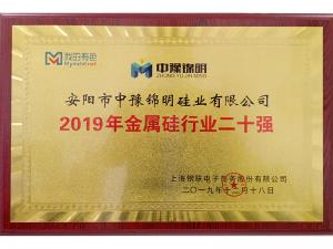 2019年金屬硅行業(yè)20強